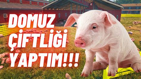 istanbul gaziosmanpaşa hacımaşlı köyü domuz çiftliği